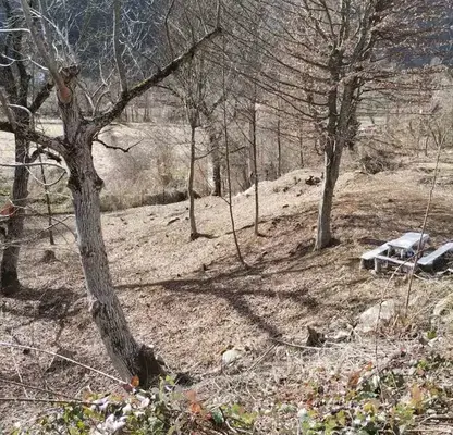 Photo 5 — Plot in Oblast Lovech, Teteven