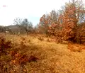 Снимка 2 — Парцел в Ловеч, Тетевен