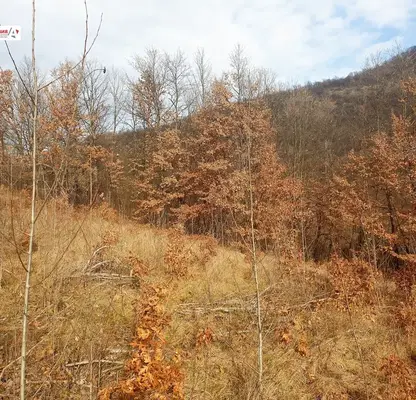 Photo 3 — Plot in Oblast Lovech, Teteven