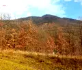Снимка 4 — Парцел в Ловеч, Тетевен