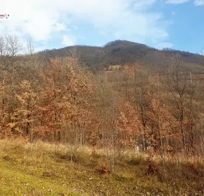 Photo 4 — Plot in Oblast Lovech, Teteven