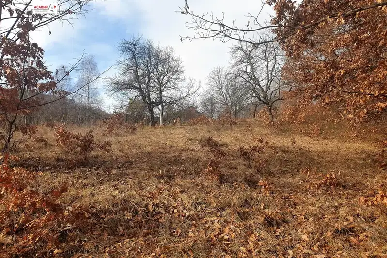 Plot in Oblast Lovech, Teteven