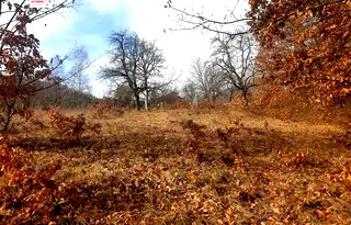 Парцел в Ловеч, Тетевен
