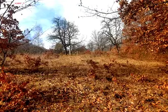 Парцел в Ловеч, Тетевен