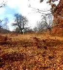 Парцел в Ловеч, Тетевен
