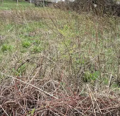 Photo 3 — Plot in Oblast Lovech, Teteven