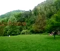 Снимка 5 — Парцел в Ловеч, Тетевен