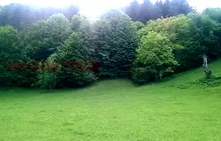 Парцел в Ловеч, Тетевен