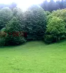 Парцел в Ловеч, Тетевен