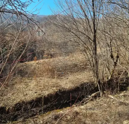 Photo 3 — Plot in Oblast Lovech, Teteven