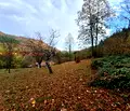 Снимка 4 — Парцел в Ловеч, Троян