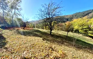 Парцел в Ловеч, Троян