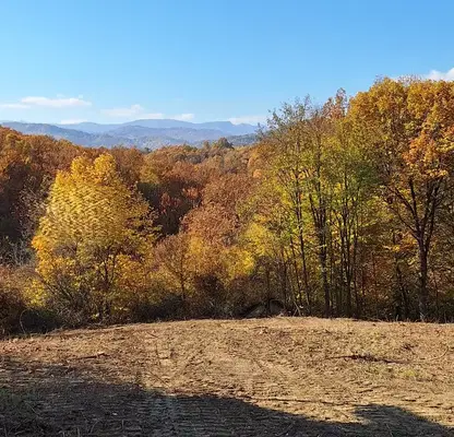 Photo 2 — Plot in Oblast Lovech, Troyan