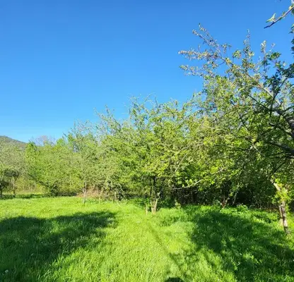Photo 2 — Plot in Oblast Lovech, Troyan