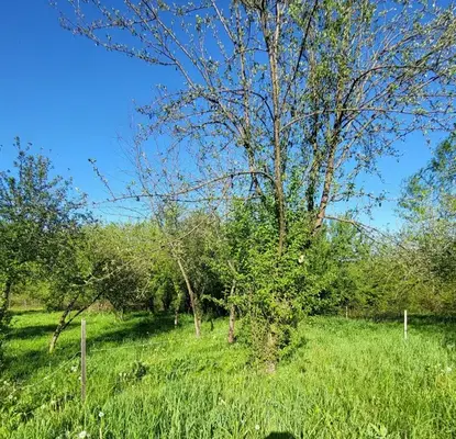 Photo 3 — Plot in Oblast Lovech, Troyan