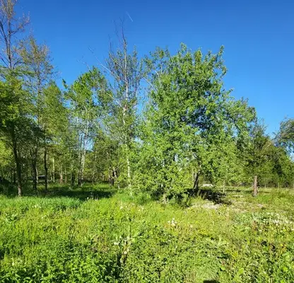 Photo 4 — Plot in Oblast Lovech, Troyan