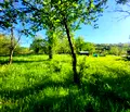 Снимка 5 — Парцел в Ловеч, Троян