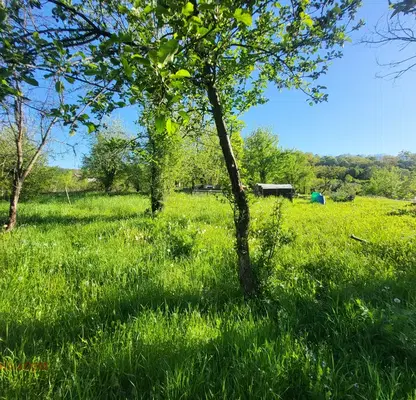 Photo 5 — Plot in Oblast Lovech, Troyan