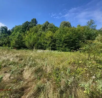 Photo 4 — Plot in Oblast Lovech, Troyan