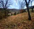 Снимка 3 — Парцел в Ловеч, Троян