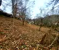 Снимка 4 — Парцел в Ловеч, Троян