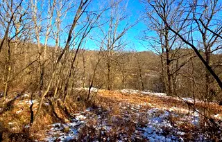 Парцел в Ловеч, Троян