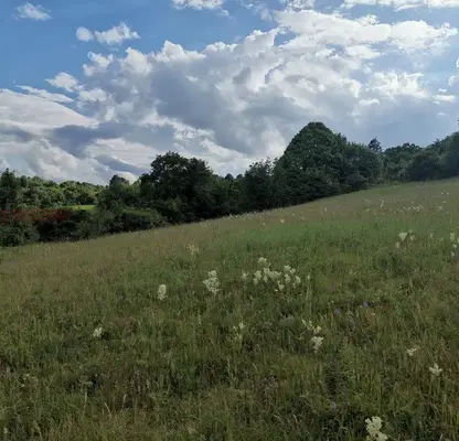 Photo 3 — Plot in Oblast Lovech, Yablanica