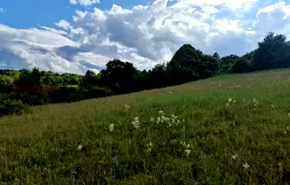 Парцел в Ловеч, Ябланица