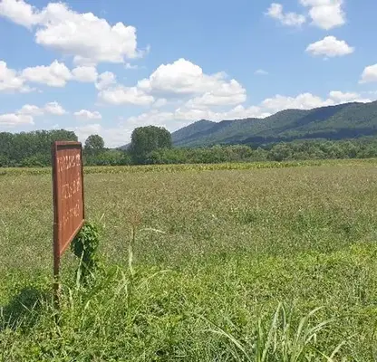 Photo 2 — Plot in Oblast Lovech, Ablanica