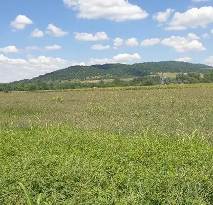 Photo 3 — Plot in Oblast Lovech, Ablanica