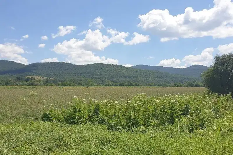 Plot in Oblast Lovech, Ablanica