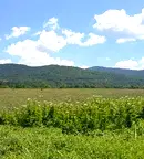 Парцел в Ловеч, с. Абланица