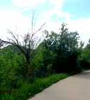 Парцел в Ловеч, с. Баба Стана