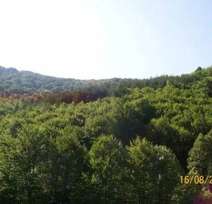 Photo 2 — Plot in Oblast Lovech, Balkanec