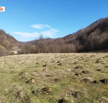Photo 3 — Plot in Oblast Lovech, Balkanec