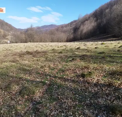 Photo 4 — Plot in Oblast Lovech, Balkanec