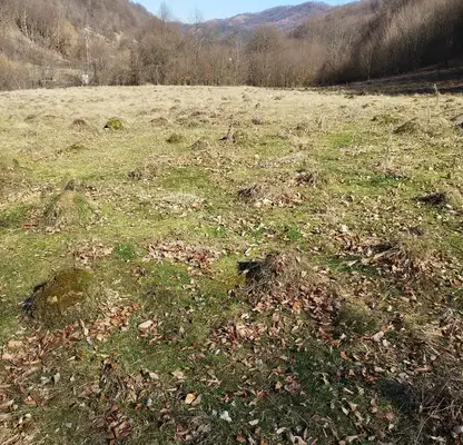 Photo 5 — Plot in Oblast Lovech, Balkanec