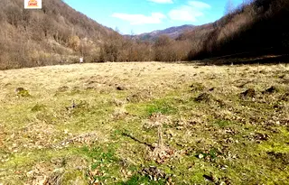 Парцел в Ловеч, с. Балканец