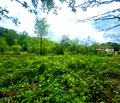 Снимка 4 — Парцел в Ловеч, с. Балканец