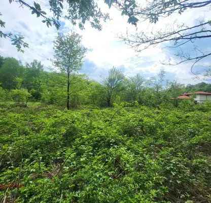 Photo 4 — Plot in Oblast Lovech, Balkanec