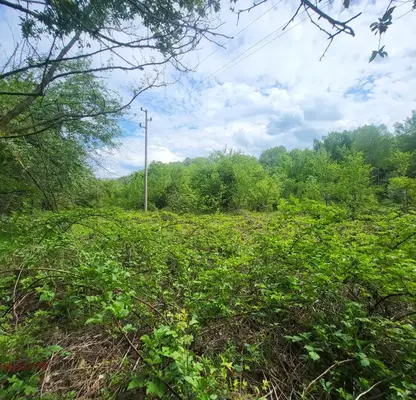 Photo 5 — Plot in Oblast Lovech, Balkanec