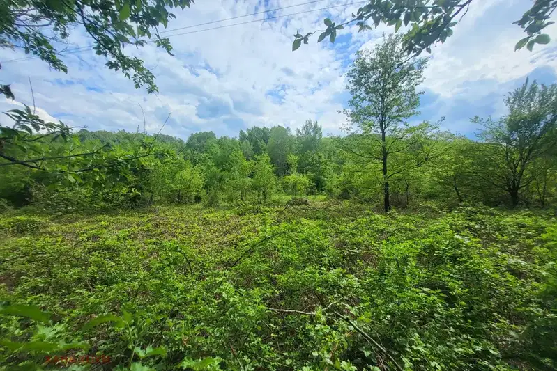 Plot in Oblast Lovech, Balkanec