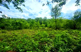 Парцел в Ловеч, с. Балканец