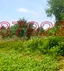 Парцел в Ловеч, с. Бежаново