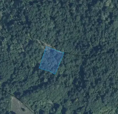 Photo 2 — Plot in Oblast Lovech, Beli Osym