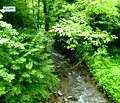 Снимка 2 — Парцел в Ловеч, с. Бели Осъм