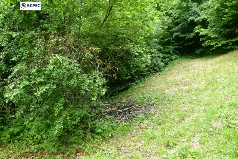 Plot in Oblast Lovech, Beli Osym