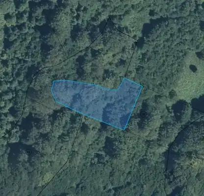 Photo 3 — Plot in Oblast Lovech, Beli Osym
