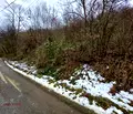 Снимка 3 — Парцел в Ловеч, с. Бели Осъм