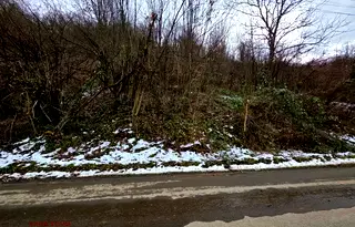 Парцел в Ловеч, с. Бели Осъм